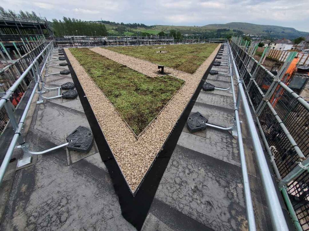 Example of Green Roofing